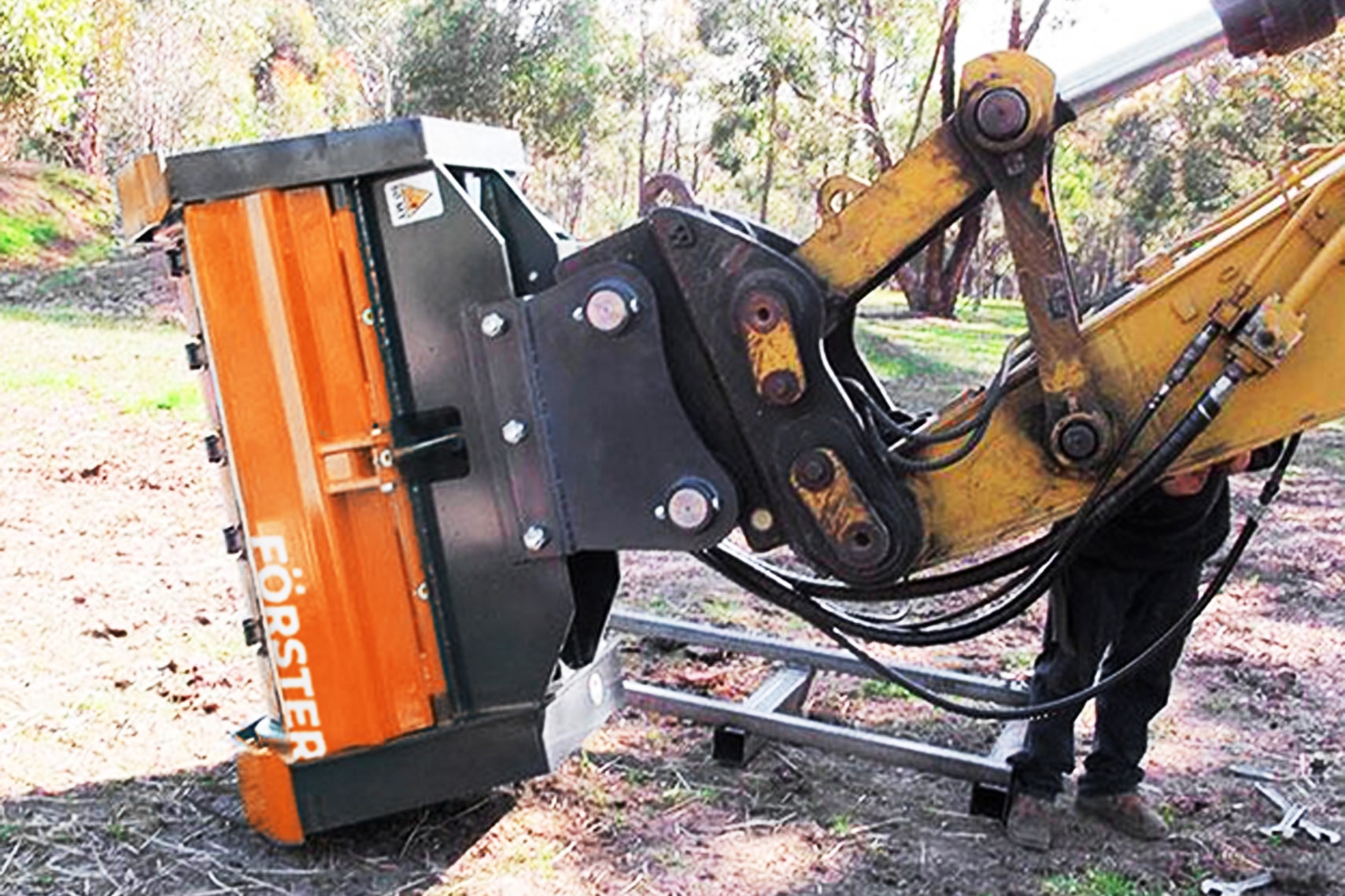 Зимой и летом – одним цветом