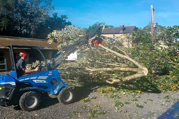 MultiOne благоустраивают Ульяновск