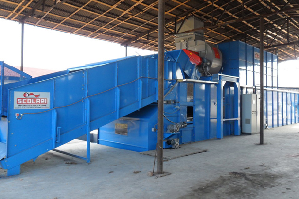 По грибы да по ягоды