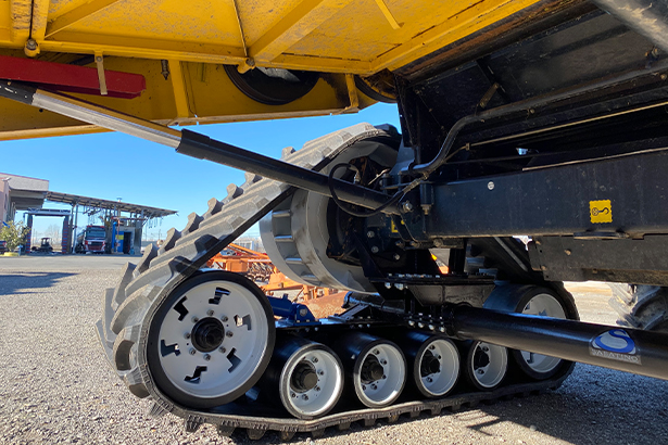 Самый востребованный продукт сезона - Sabatino