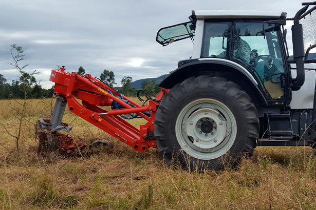 Пни от деревьев - не проблема.