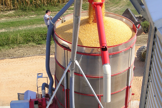 В 2024 году Россия останется без подсолнечника?