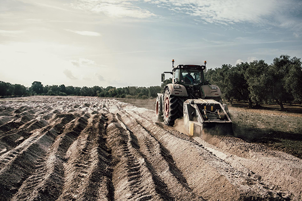 Агри Ворлд - признанный лидер в вопросах корчевания  пней и корней