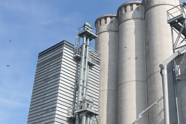 Россия сокращает поставки зерна на мировой рынок. Кому это выгодно? 