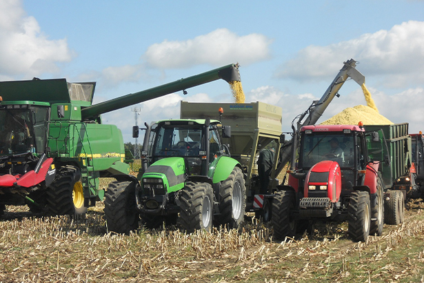 Плющение зерна. Лучшая технология.