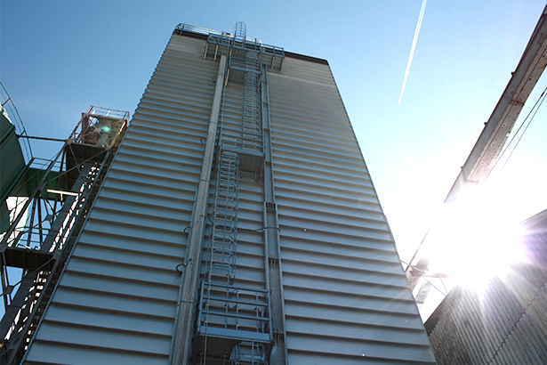 Определен бюджет на поддержку аграриев в 2024 году