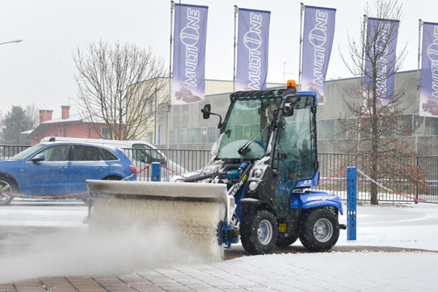 Жили у бабуси два весёлых гуся