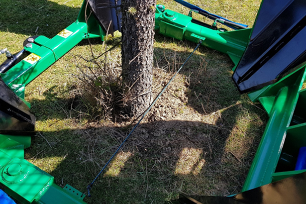 Грамотный подход при пересадке