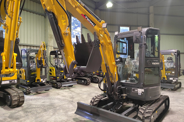 Массовое исчезновение