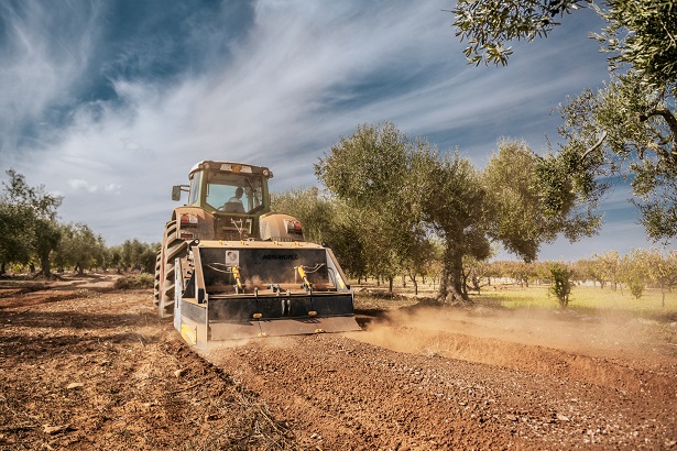 Пришел час браться за залежные земли