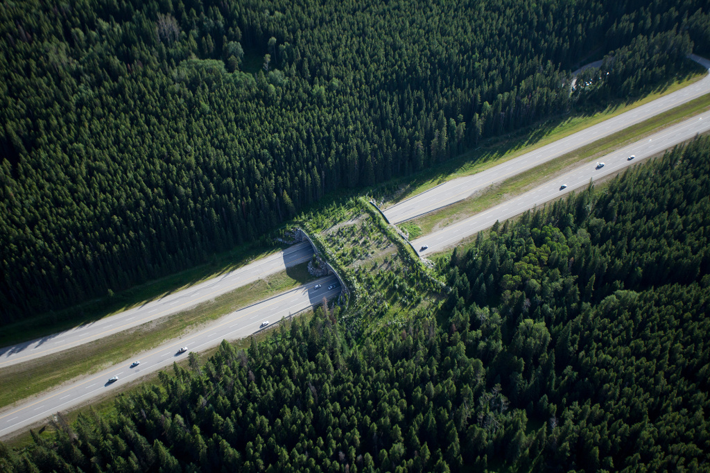 zizka_ccr_transportation_banffoverpass_penntoday_1.jpg